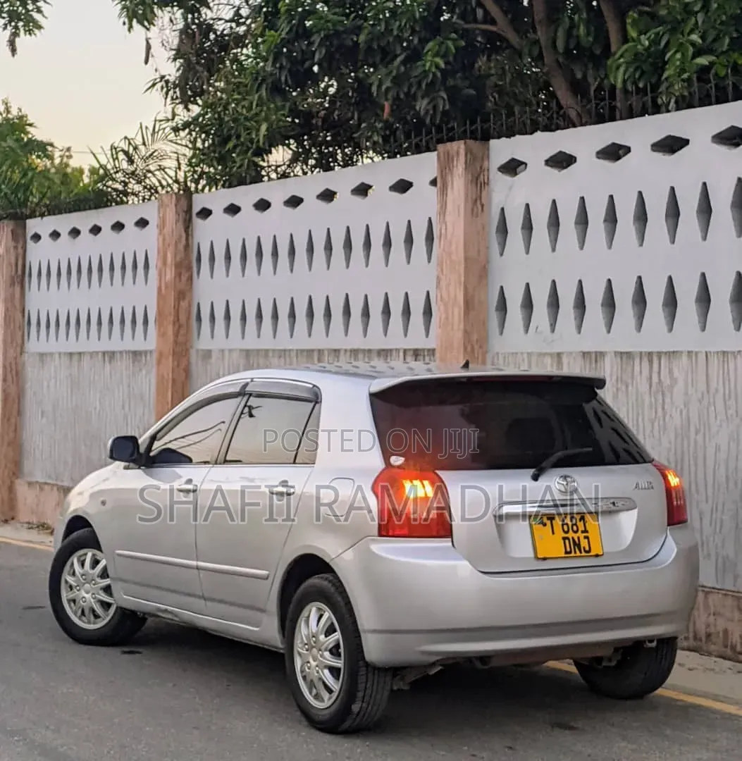 Toyota Allex 2010 Silver