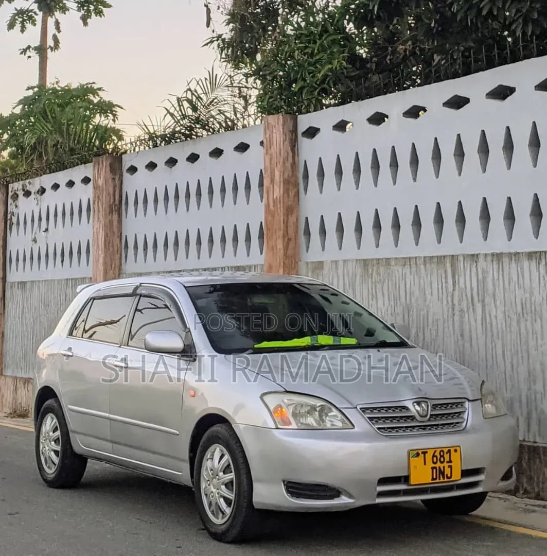 Toyota Allex 2010 Silver