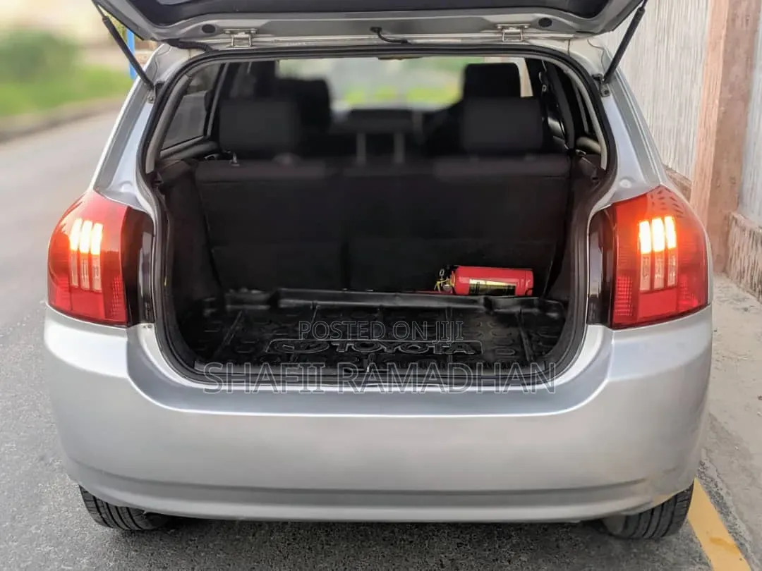 Toyota Allex 2010 Silver