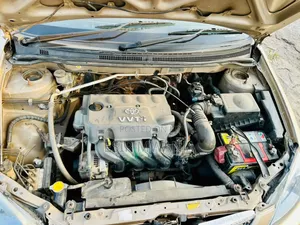 Toyota Corolla RunX 2004 Gold