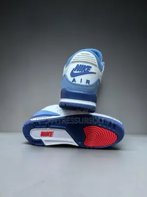 Air Jordan 3 Retro True Blue Design