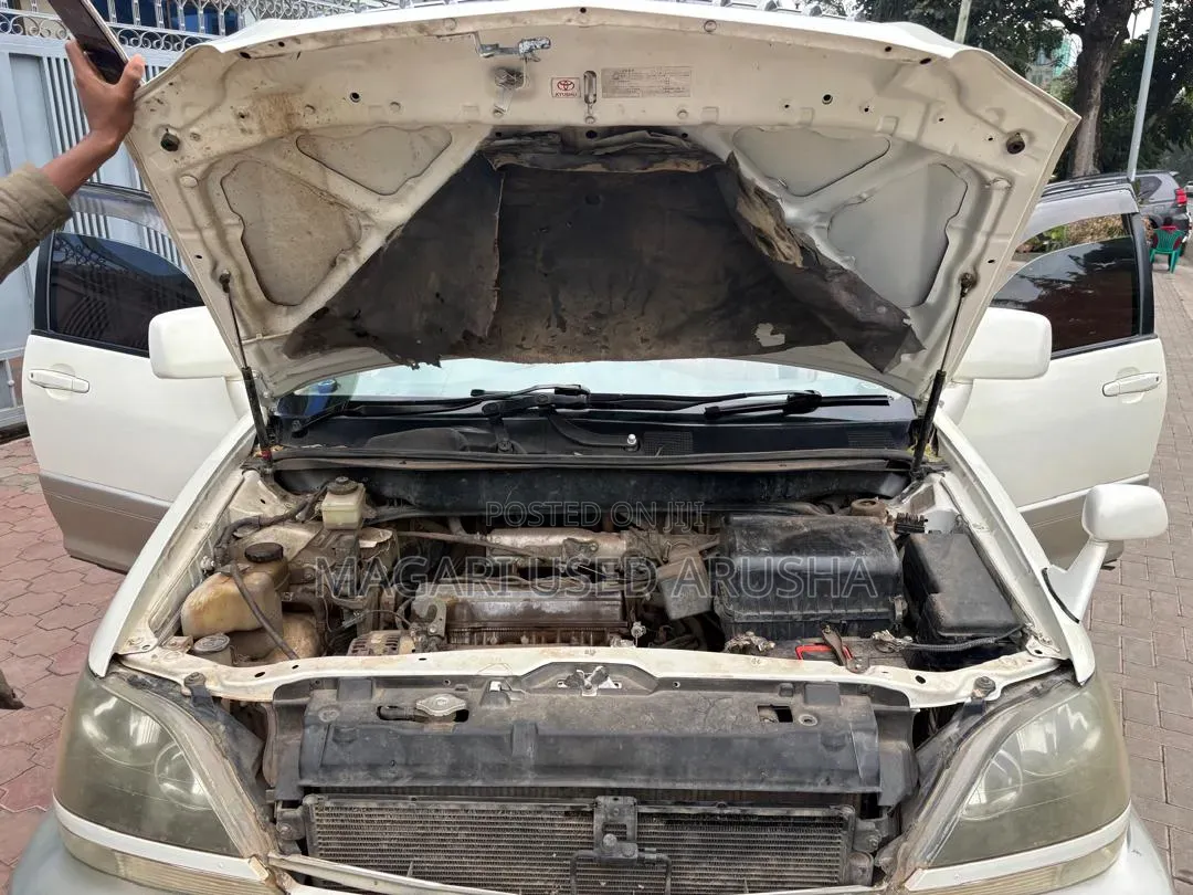 Toyota Harrier 2001 White