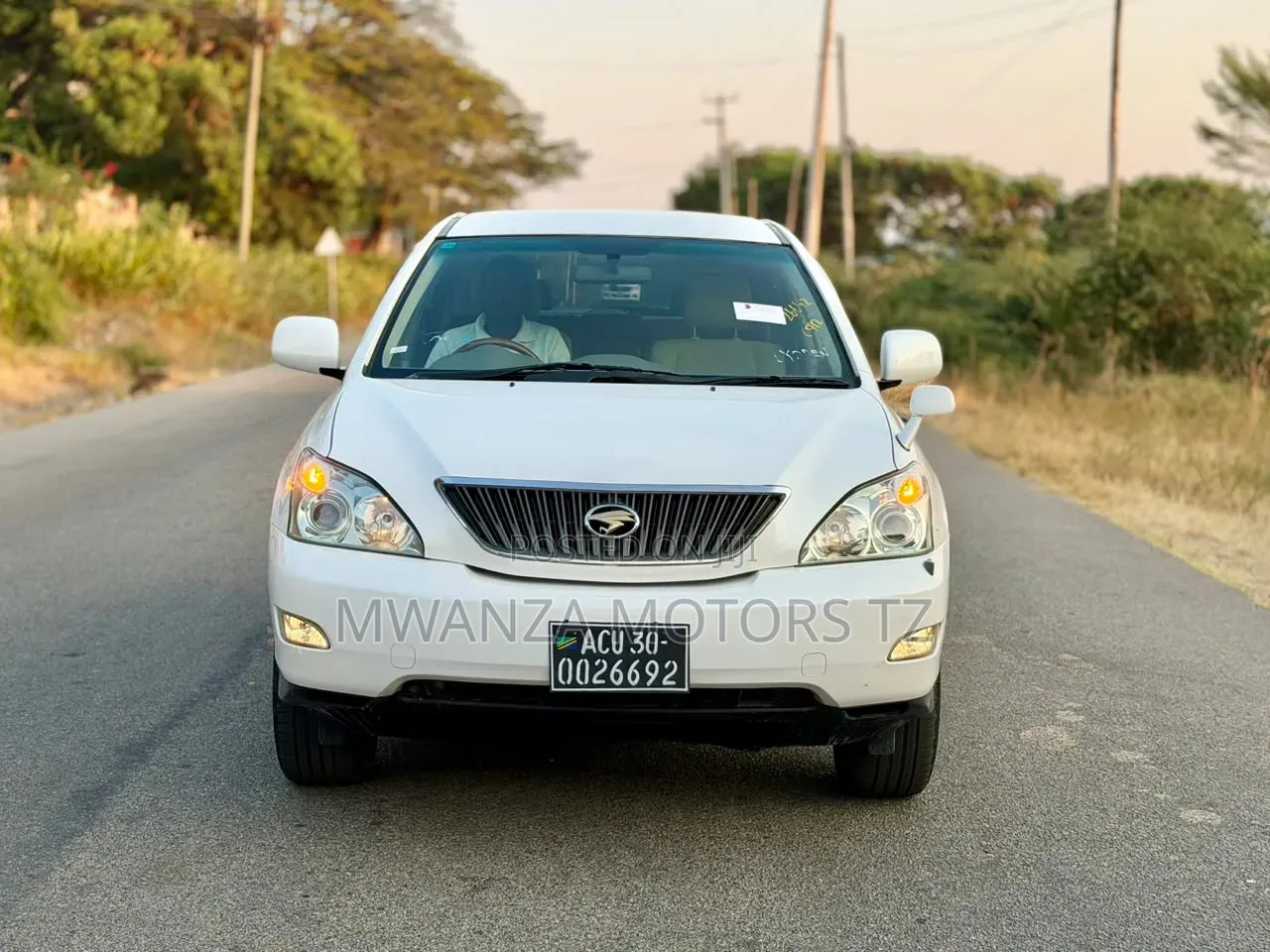 Toyota Harrier 2004 White