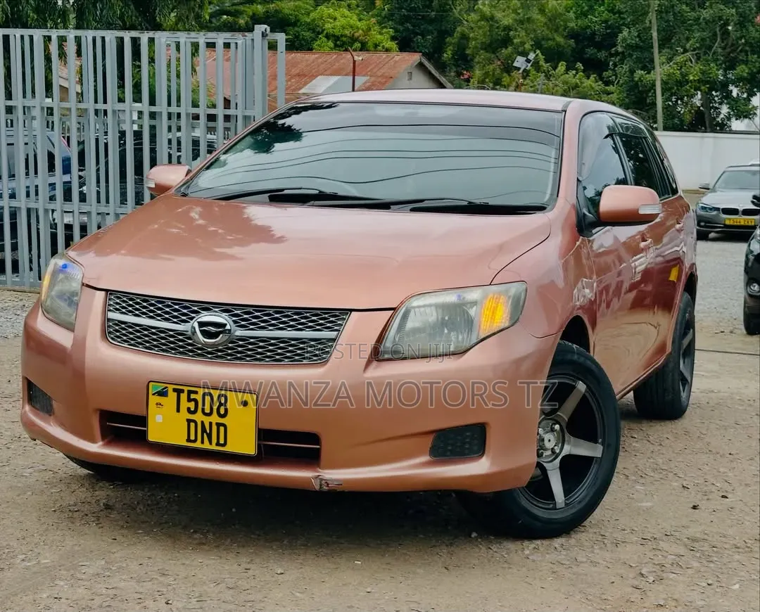 Toyota Corolla Fielder 2008 Orange