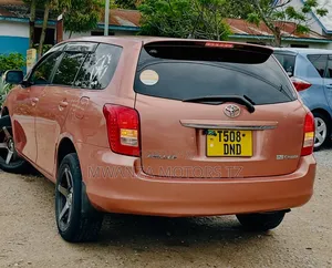 Toyota Corolla Fielder 2008 Orange