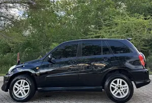 Toyota RAV4 2001 Black