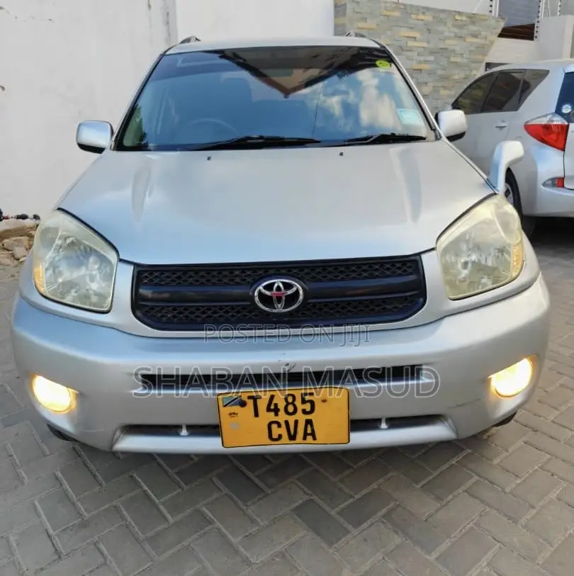 Toyota RAV4 Automatic 2004 Silver