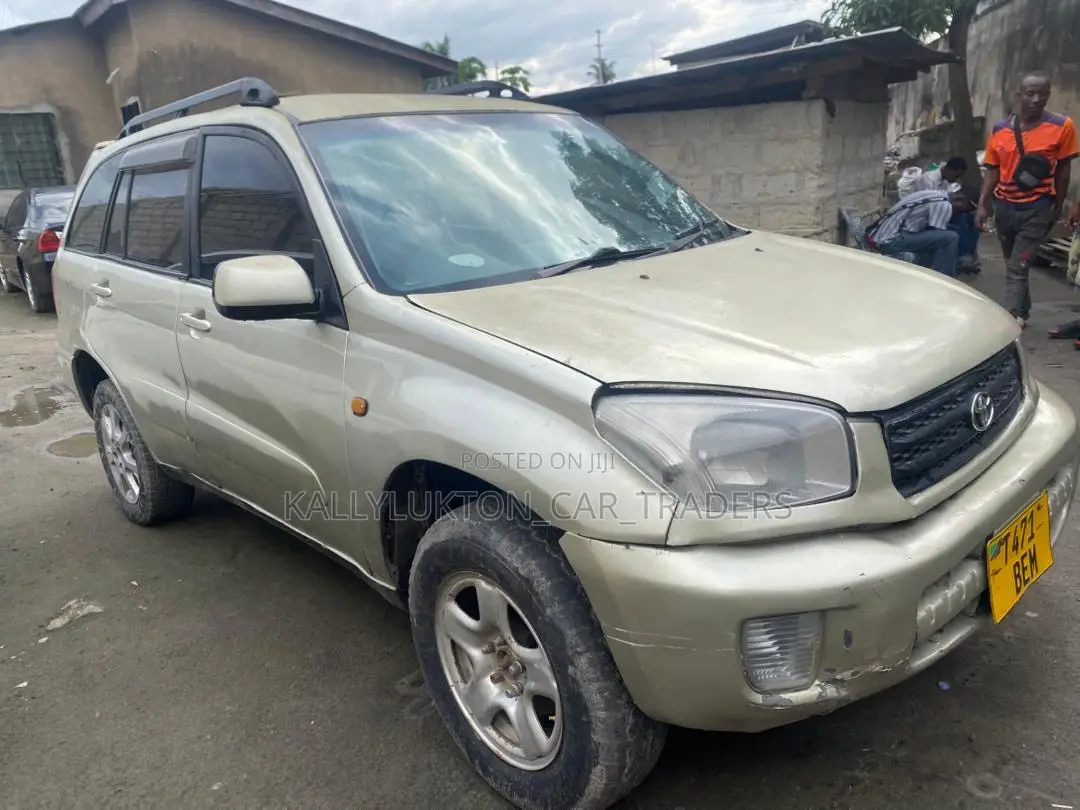 Toyota RAV4 2008 Gold