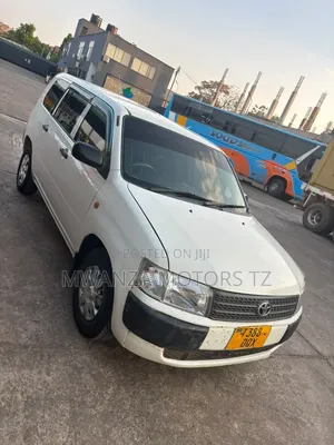 Toyota Probox 2004 Pearl