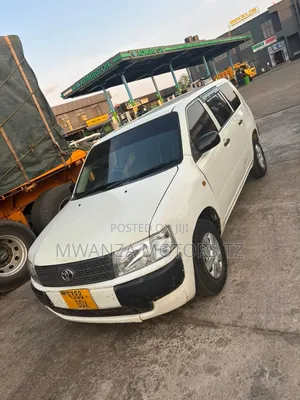 Toyota Probox 2004 Pearl