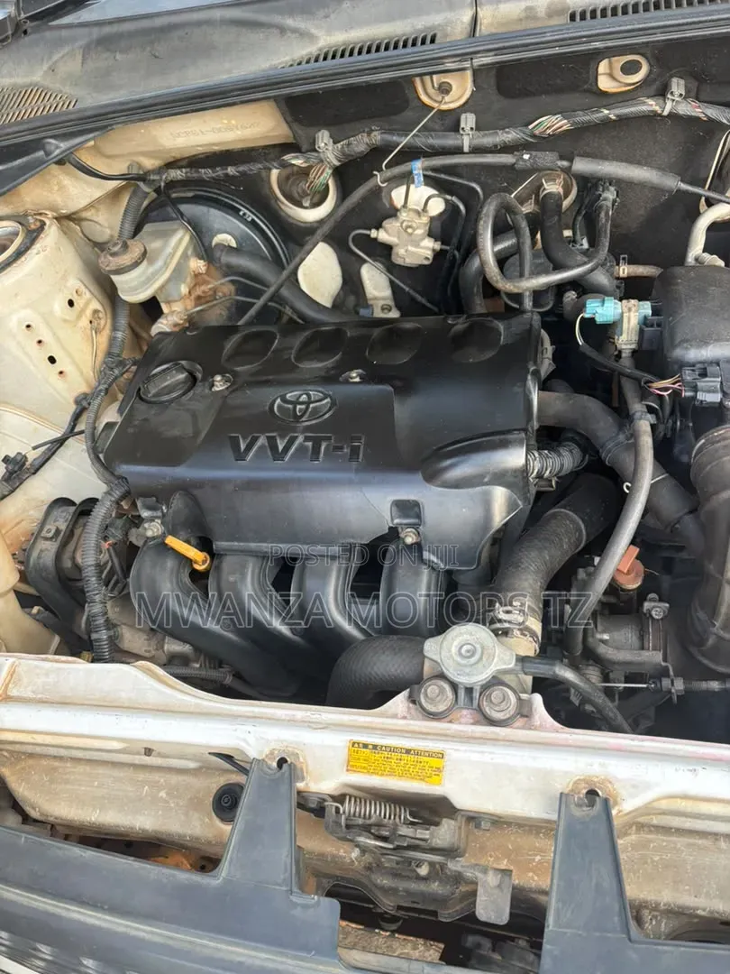 Toyota Probox 2004 Pearl