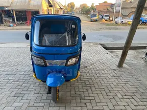 Bajaj 2023 Blue