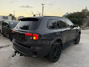 Ford Everest 2024 Gray