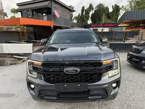 Ford Everest 2024 Gray