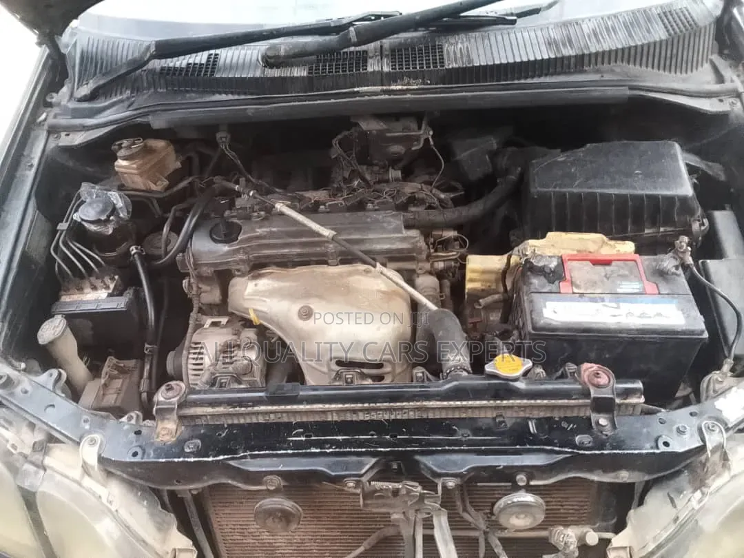 Toyota Gaia 1999 Matt Black