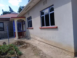3bdrm House in Tanzania Real, Central Business Area for rent