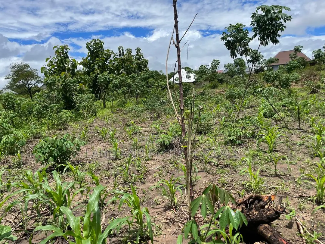 Eneo Zuri Na Kubwa Linauzwa Sangasanga, Morogoro