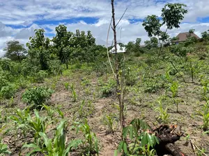 Eneo Zuri Na Kubwa Linauzwa Sangasanga, Morogoro