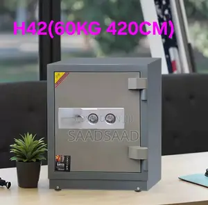 Safe 60 Kg