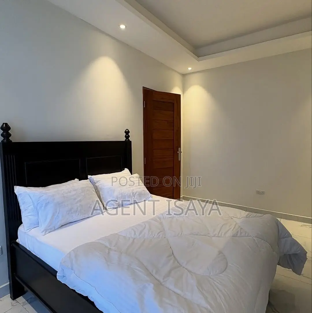 Furnished 3bdrm Apartment in Masaki for rent