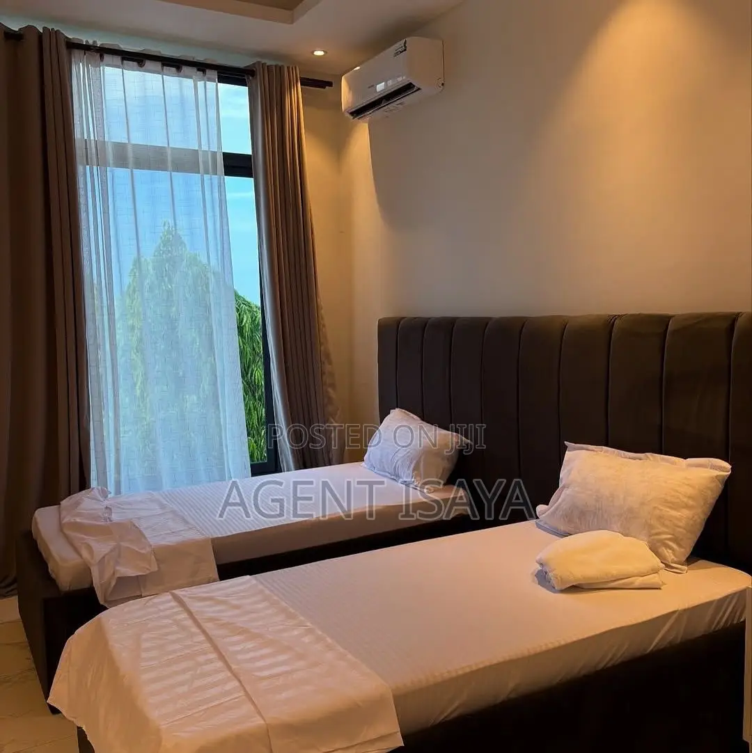 Furnished 3bdrm Apartment in Masaki for rent