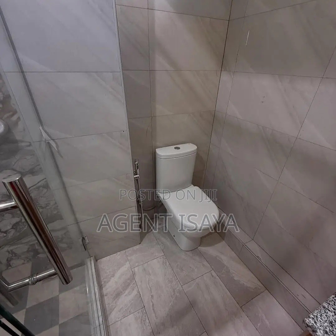Furnished 3bdrm Apartment in Masaki for rent