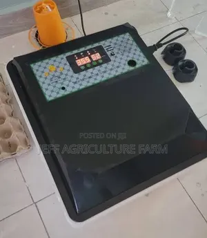 Ofaa Ya Saba Saba Incubator