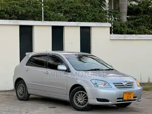 Toyota Allex 2005 Silver