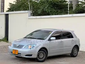 Toyota Allex 2005 Silver