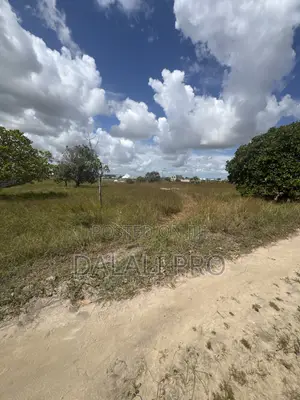 Kiwanja Kinauzwa Kisarawe Ii Kigamboni