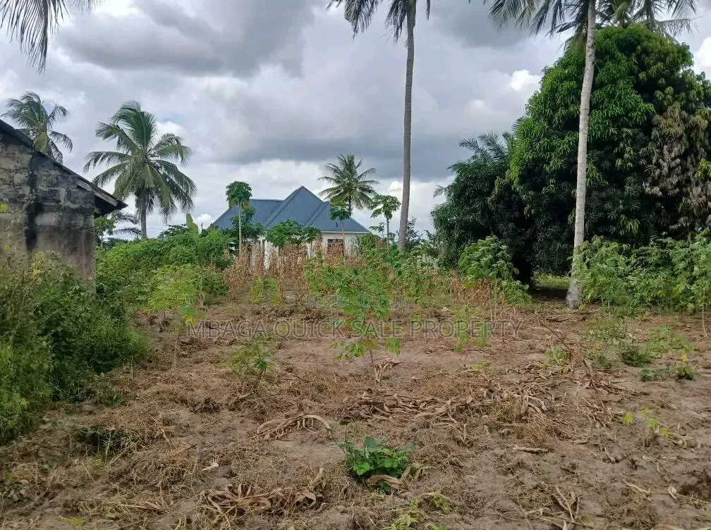 Plot for Sale at Chanika With Clean Title Deed 1000 SQM
