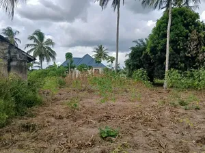 Plot for Sale at Chanika With Clean Title Deed 1000 SQM