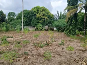 Plot for Sale at Chanika With Clean Title Deed 1000 SQM