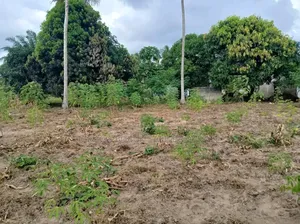 Plot for Sale at Chanika With Clean Title Deed 1000 SQM