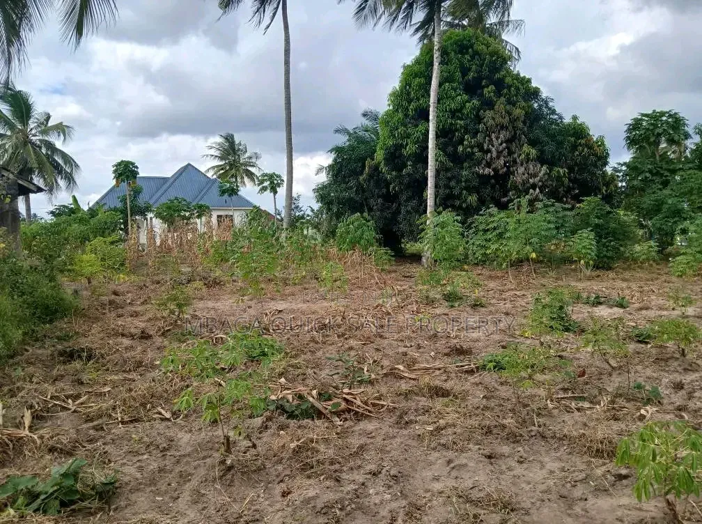 Plot for Sale at Chanika With Clean Title Deed 1000 SQM