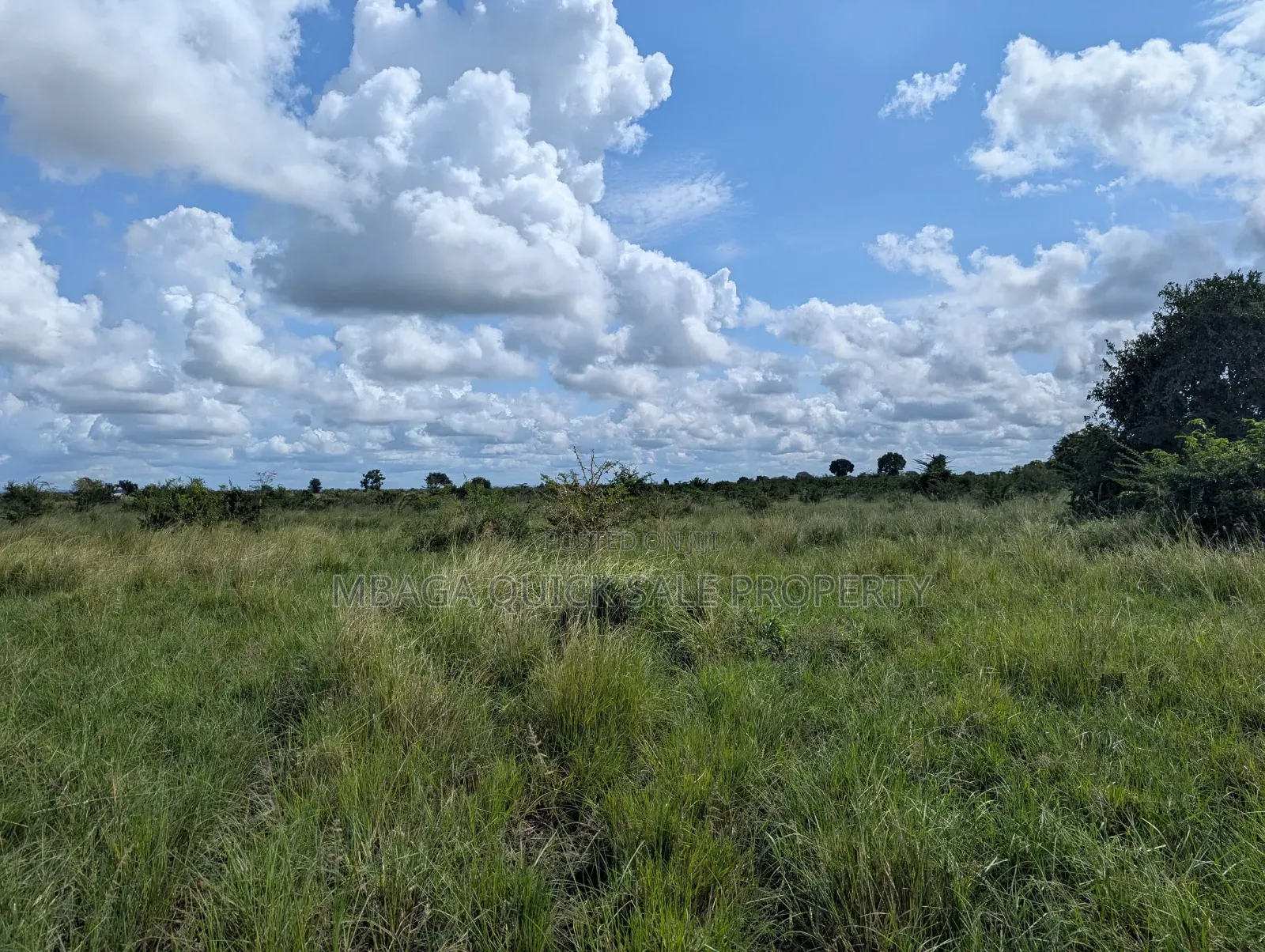 Plot for Sale at Makurunge 1 Acres