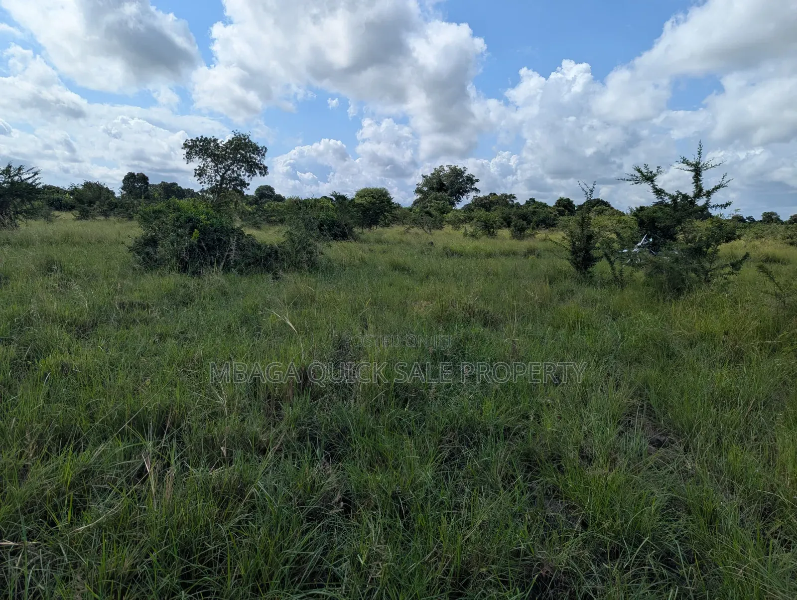 Plot for Sale at Makurunge 1 Acres