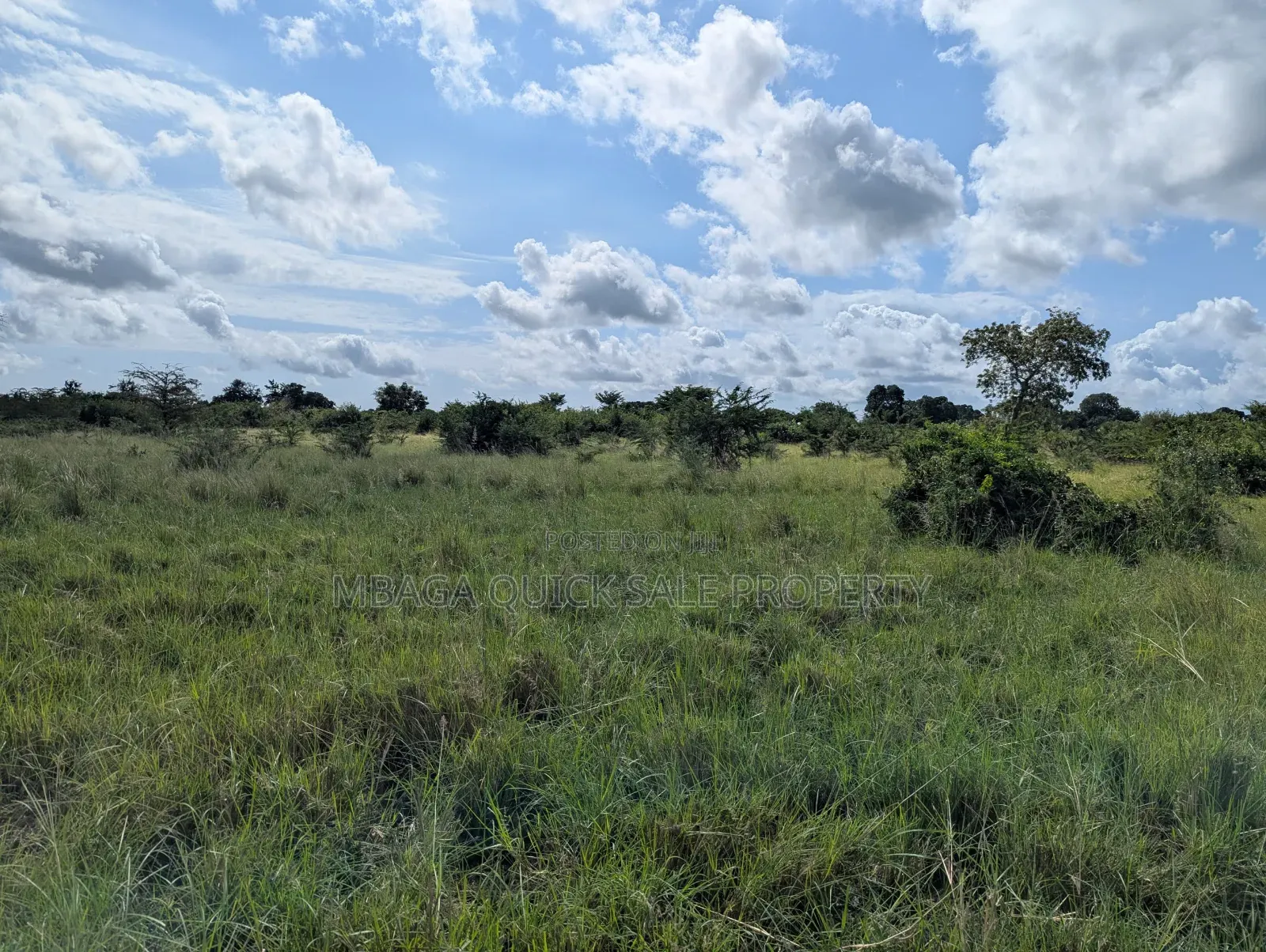 Plot for Sale at Makurunge 1 Acres