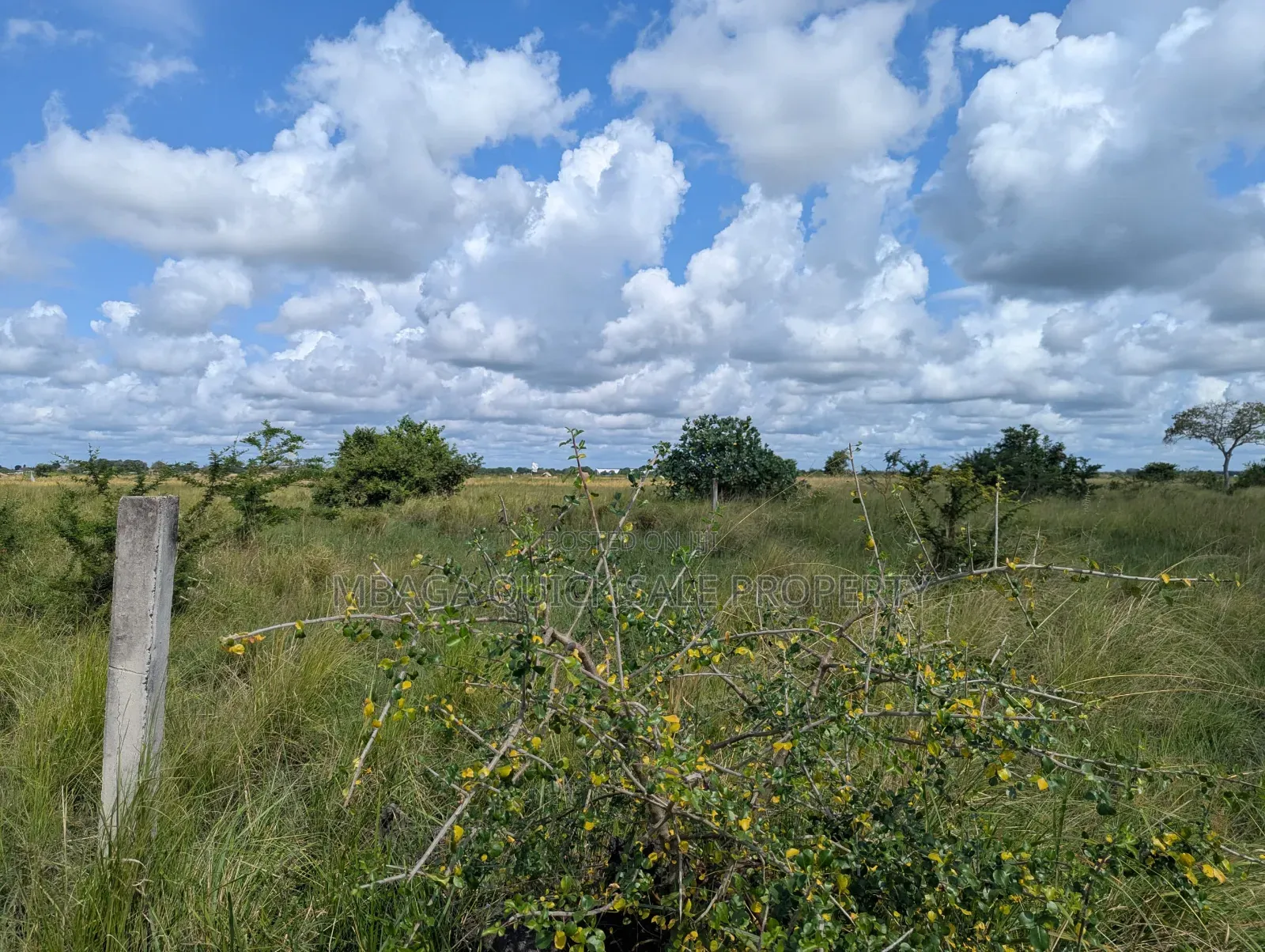 Plot for Sale at Makurunge 1 Acres