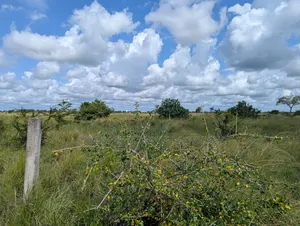 Plot for Sale at Makurunge 1 Acres