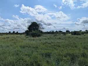 Plot for Sale at Makurunge 1 Acres