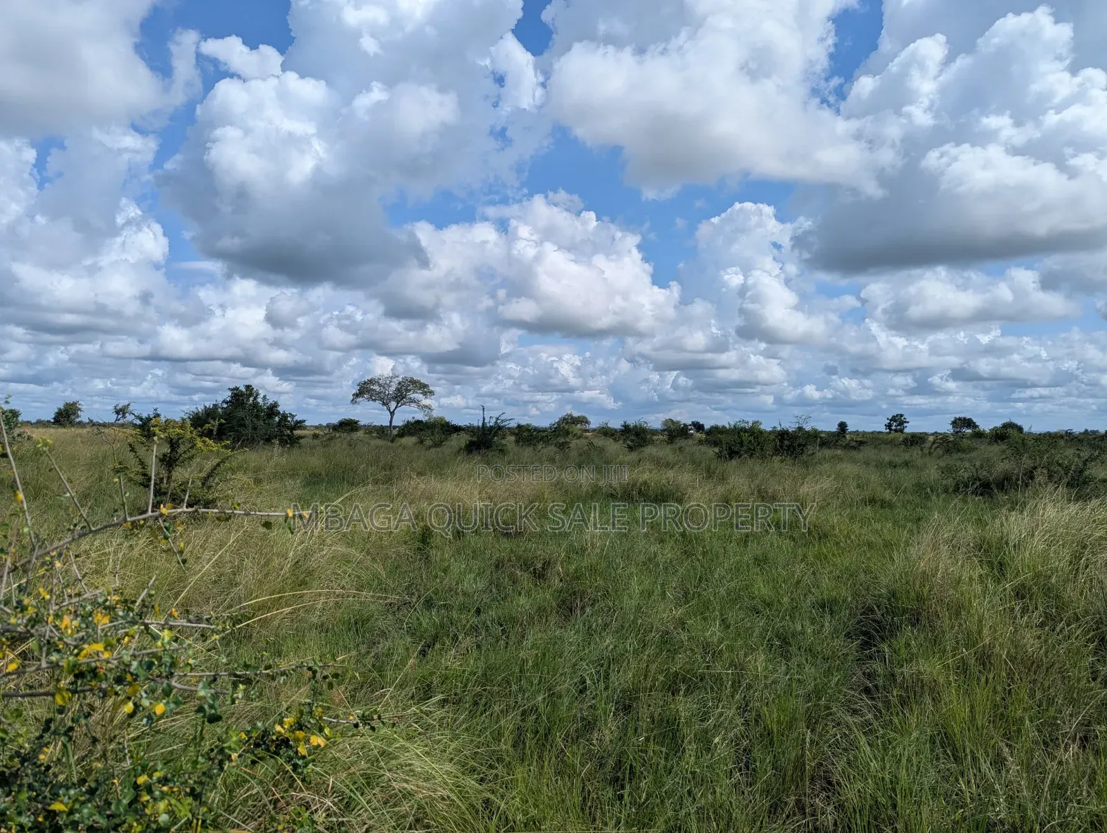 Plot for Sale at Makurunge 1 Acres