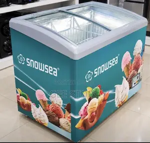 Snowsea Showcase Freezer 300litre