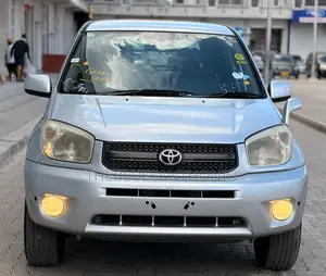 Toyota RAV4 2005 Silver
