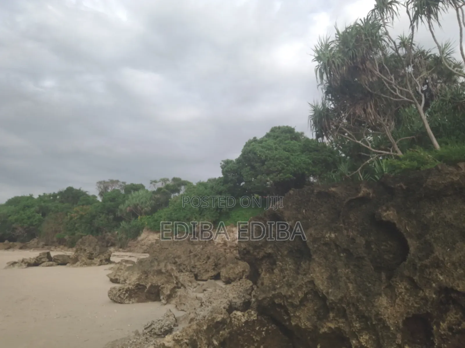 50 Acres Titled Beach Plot for Sale in Pangani Tanga