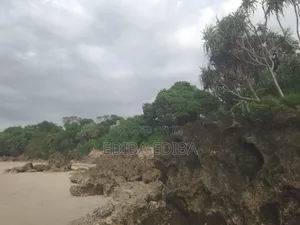 50 Acres Titled Beach Plot for Sale in Pangani Tanga