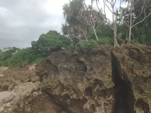50 Acres Titled Beach Plot for Sale in Pangani Tanga