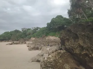 50 Acres Titled Beach Plot for Sale in Pangani Tanga