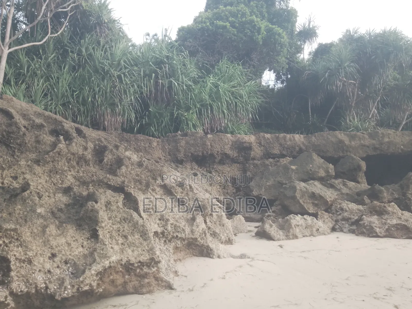 50 Acres Titled Beach Plot for Sale in Pangani Tanga