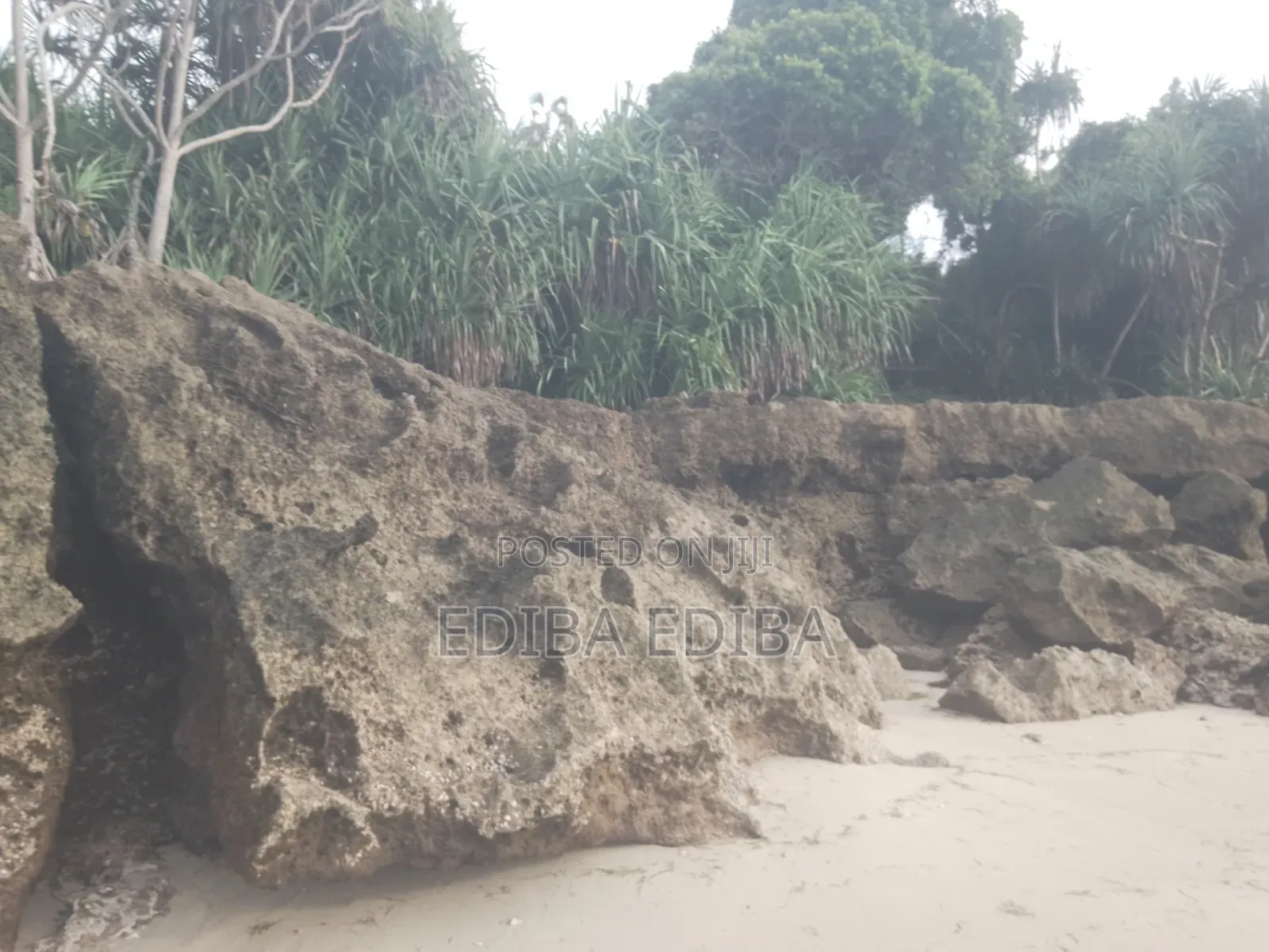 50 Acres Titled Beach Plot for Sale in Pangani Tanga